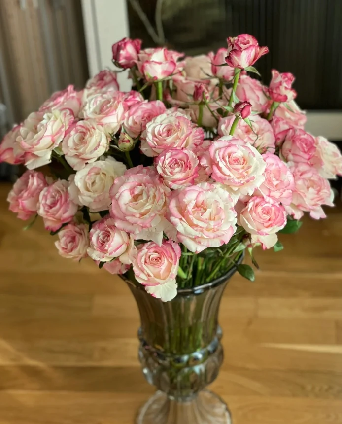 【全场任意两单包邮】霓裳多头玫瑰8-10枝（1枝不赔付）