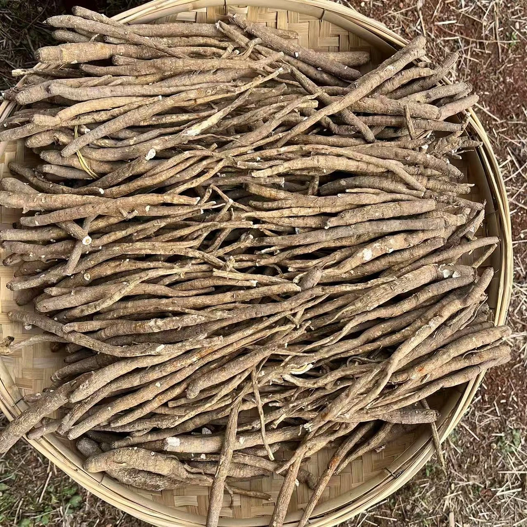 精选 高原甜当归