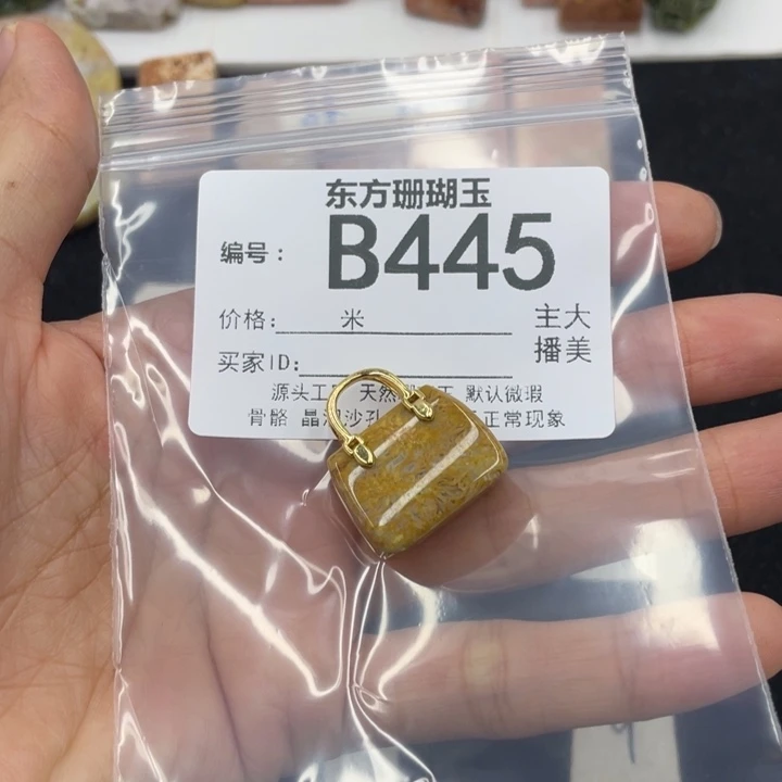 硅化珊瑚（珊瑚玉）颈饰合金～***～