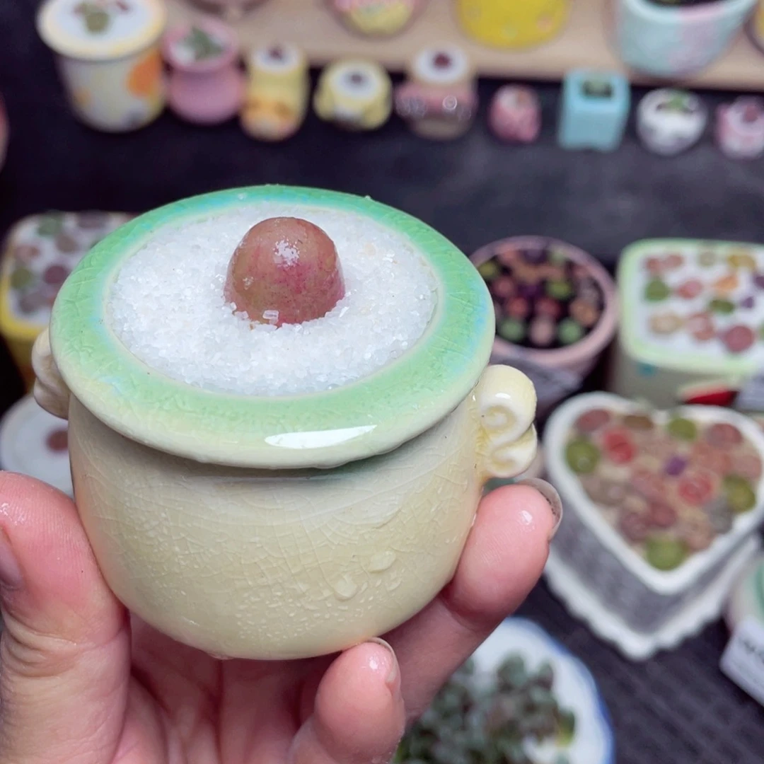 w8799 带盆土发货-零下地区拍保温箱