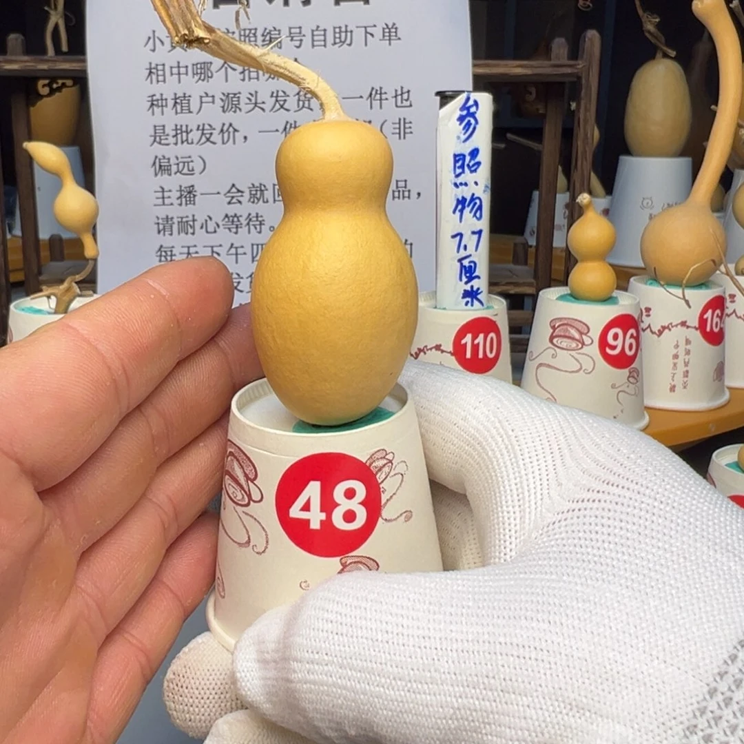 闪电购自助下单编号48