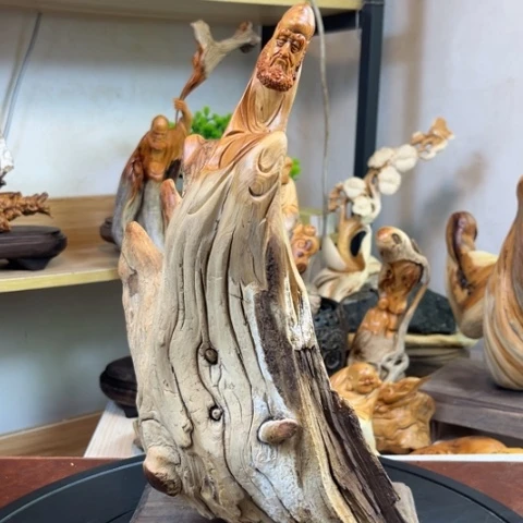 柏木（崖柏）v b c h h h j j k k