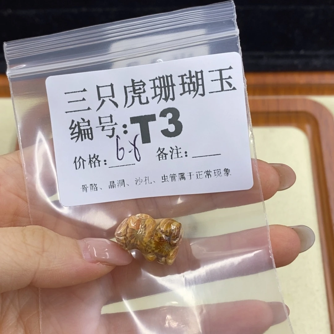 硅化珊瑚（珊瑚玉）1未镶嵌过*