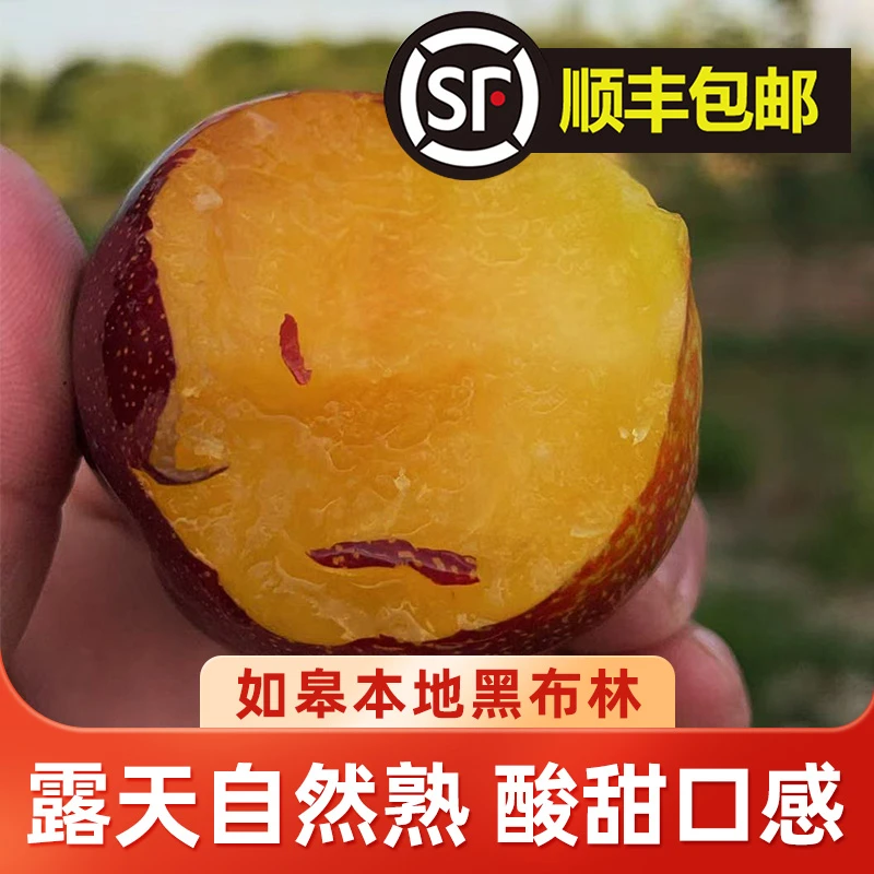 （顺丰包邮）如皋本地黑布林3斤 李子露天自然熟 酸甜口感 时令水果