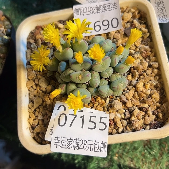 H***o幸运的是我还没遇到过