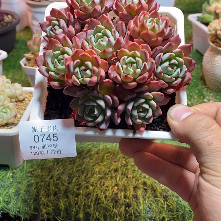0745啊啊啊啊啊啊啊啊啊