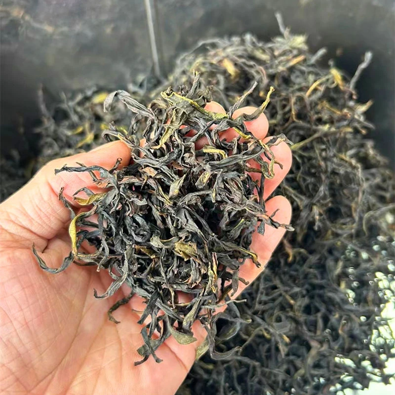 茶虎十二月六雪新鲜上市2025雪春凤凰单丛蜜香甜润 春季单枞500g
