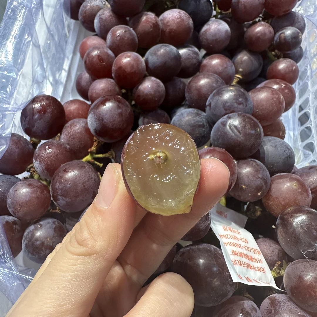 巨峰葡萄纯甜口5斤左右一箱