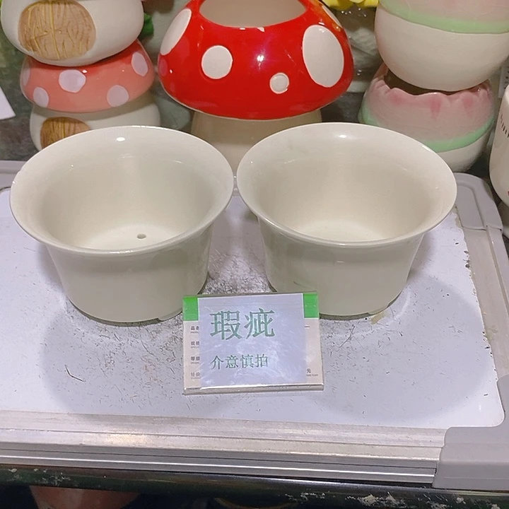 摆件多肉瑕疵盆有孔