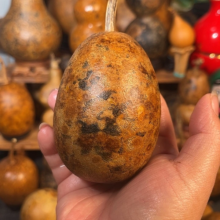 李***灵厚皮冬瓜。