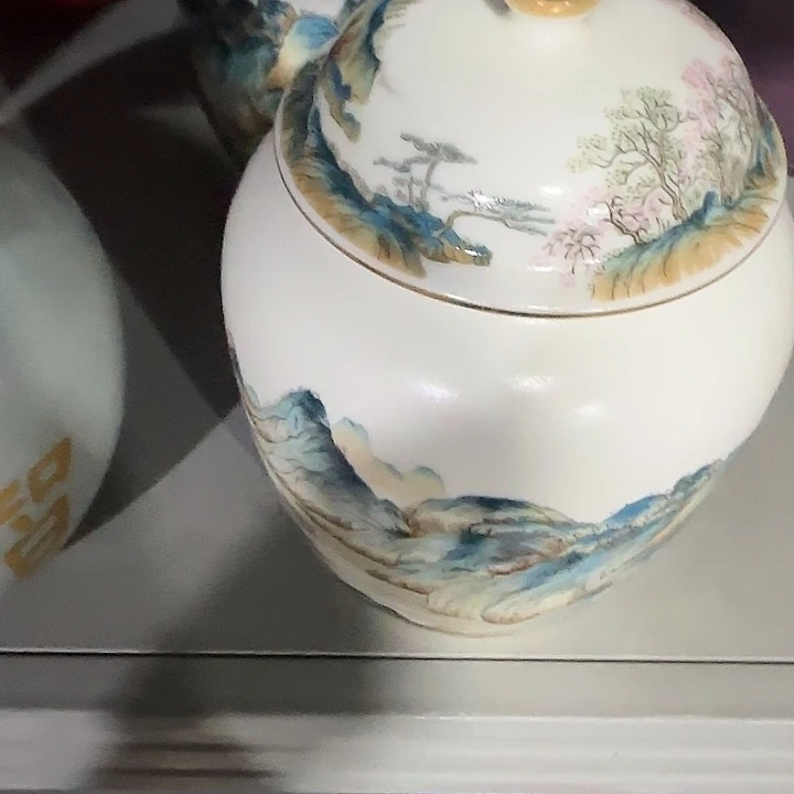 茶叶罐储物罐密封罐！