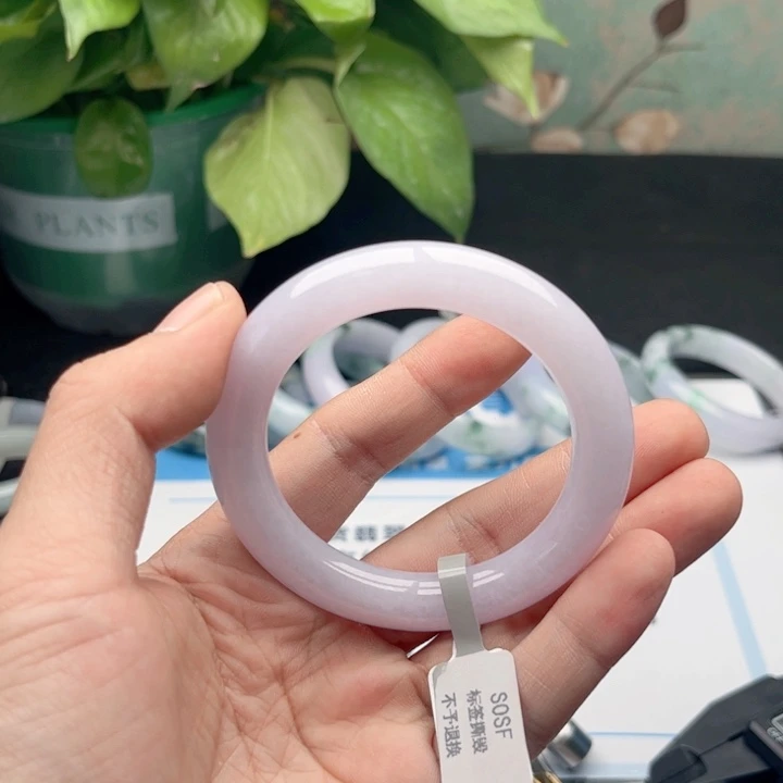未镶嵌手镯翡翠515253 63