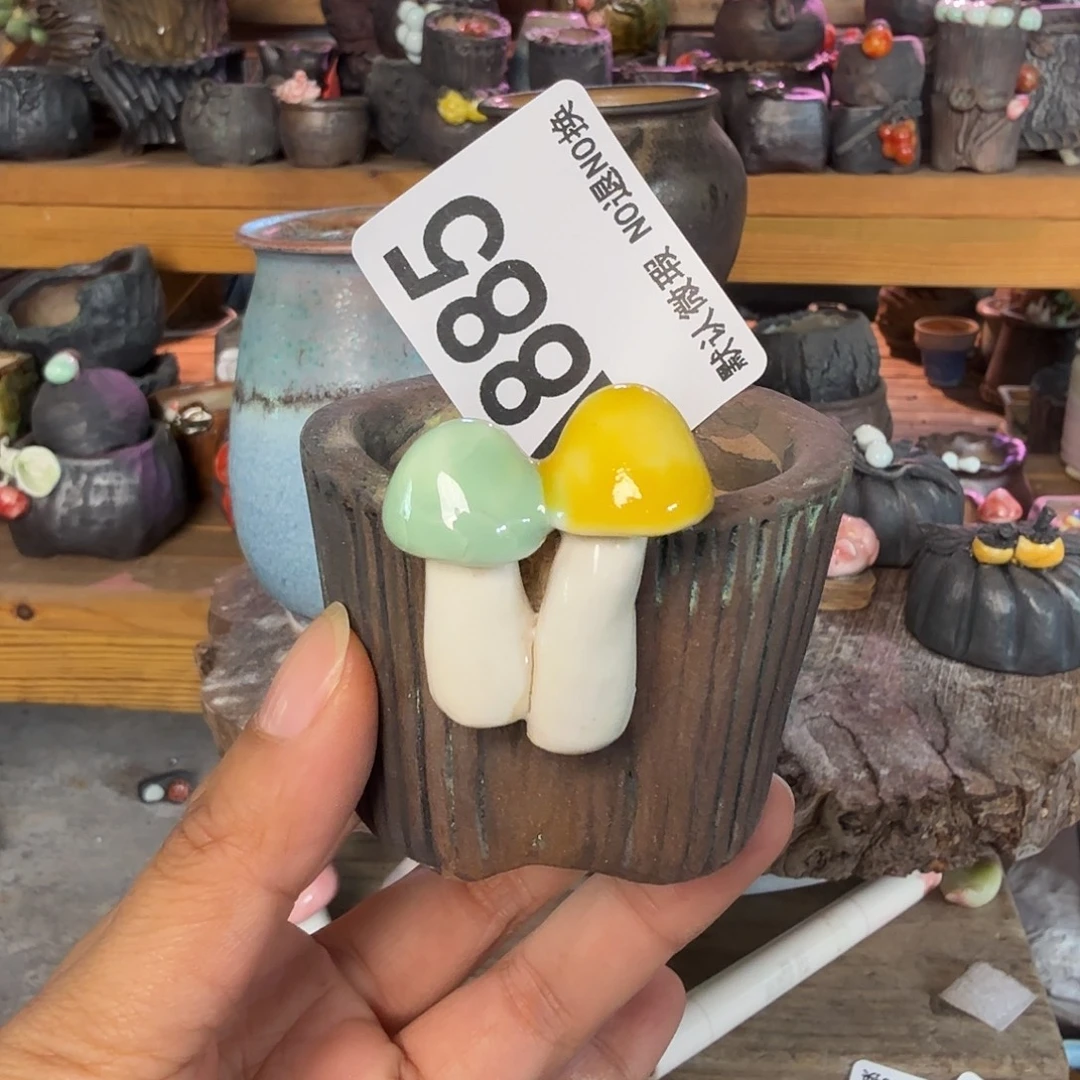 重庆小燕子欢迎大家陶瓷885