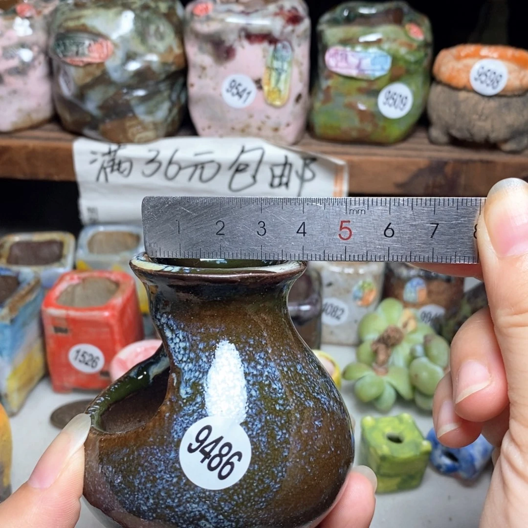 拍5送一个小礼物