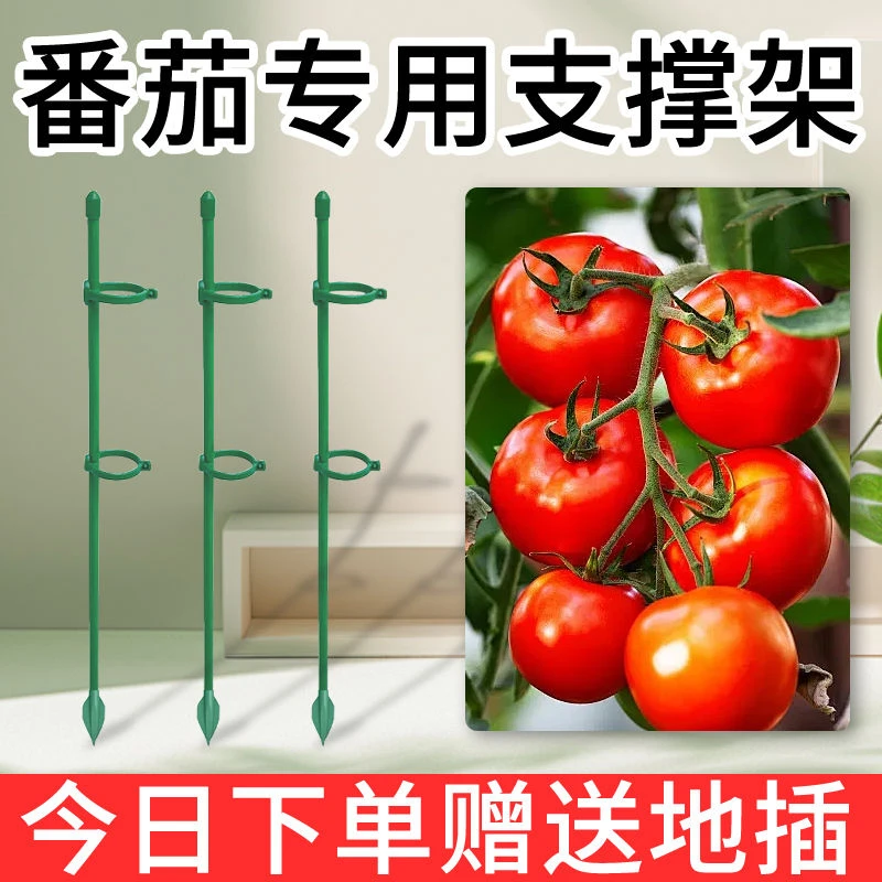 西红柿番茄辣椒固定杆爬藤吊兰园艺花架花支撑架植物防倒伏支撑杆
