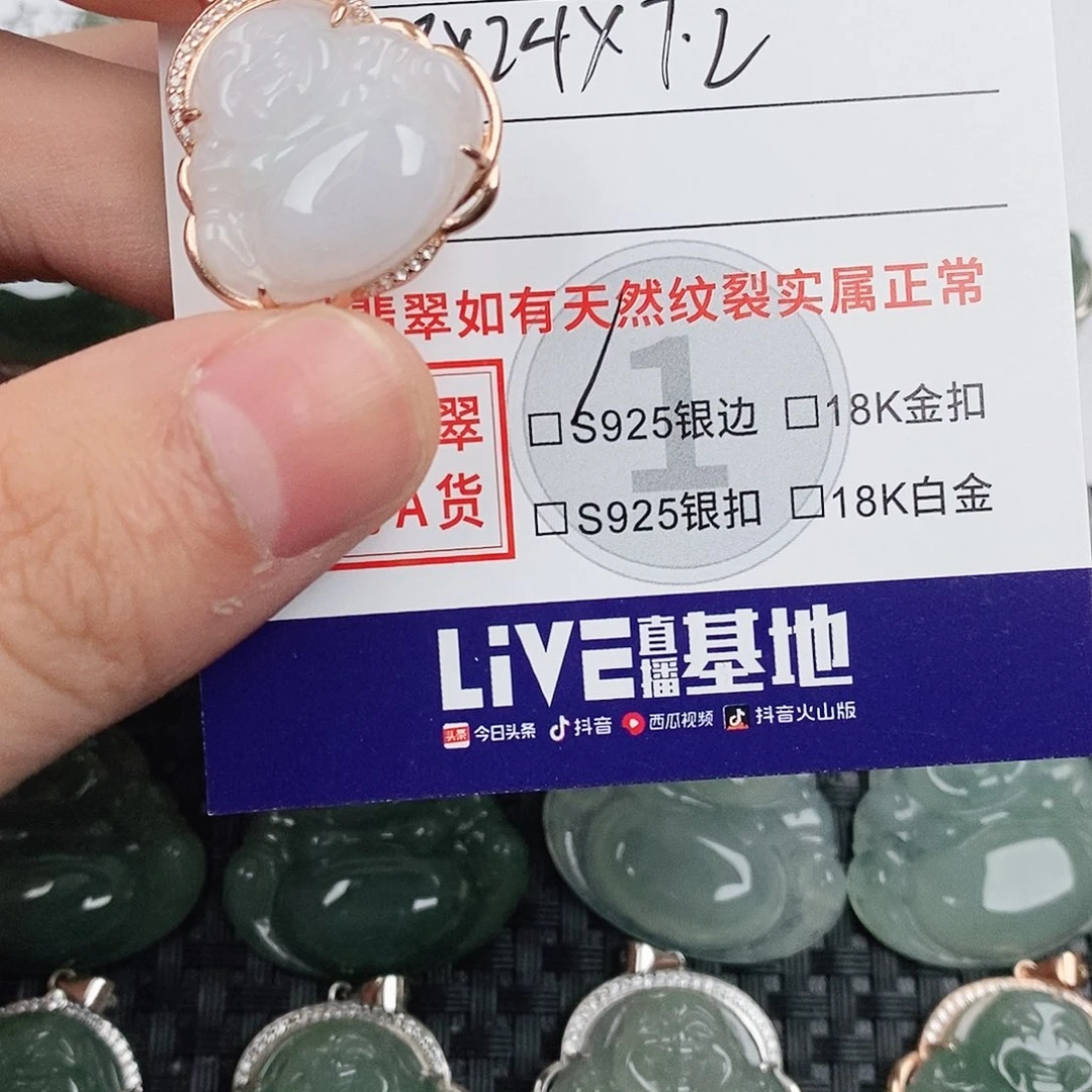 翡翠银S925镶嵌颈饰