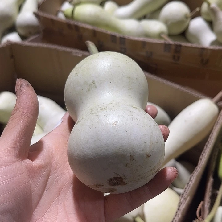 非洲紫檀（红花梨）本****者