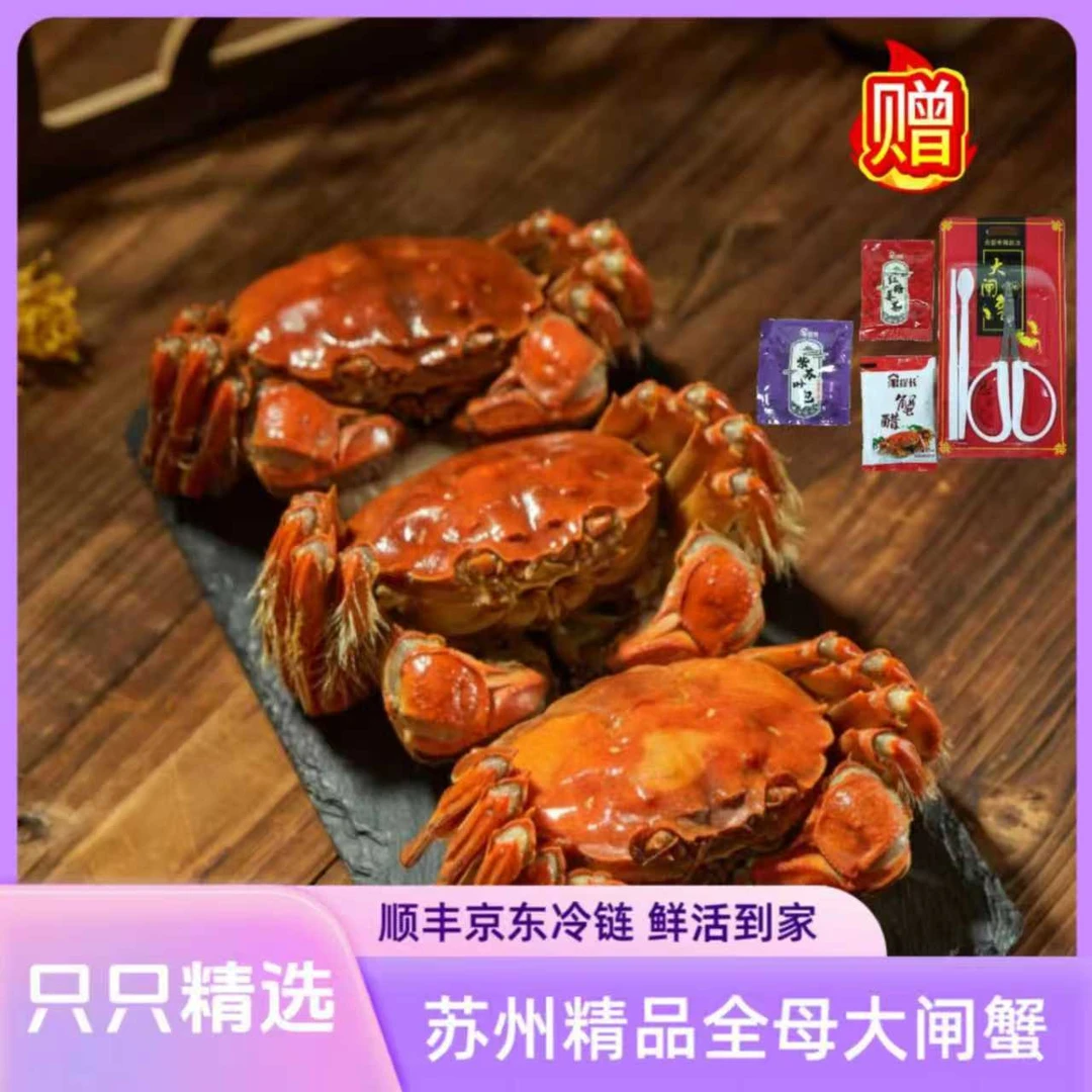 活蟹现货 鲜活大闸蟹全母蟹3.8-3.5两8/10只装 顺丰京东冷链发货H