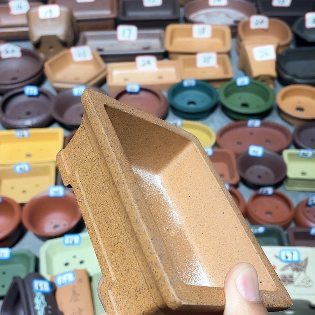 紫砂小盆10.5*8*3