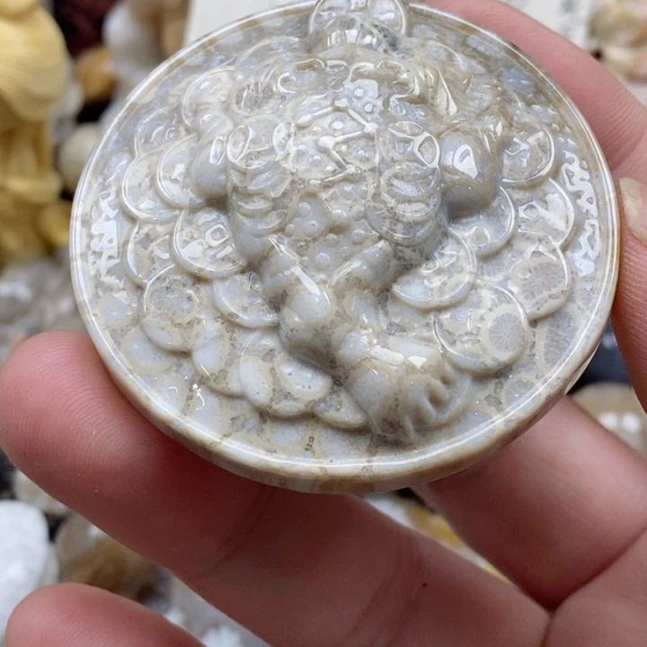 颈饰未镶嵌硅化珊瑚（珊瑚玉）