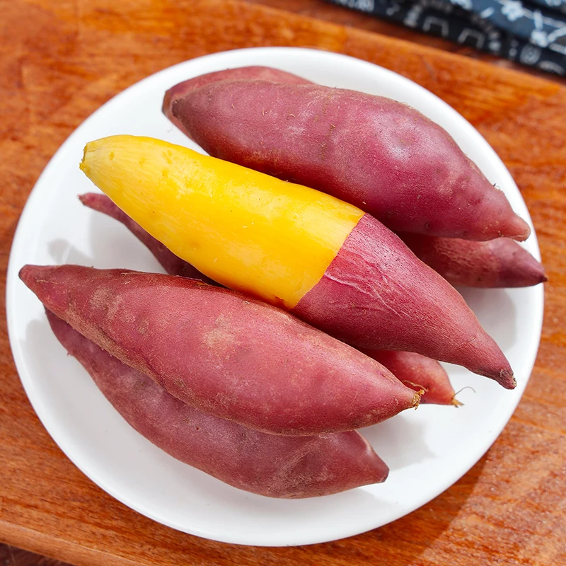 【现挖现发】临安天目山小香薯软糯香甜新鲜红薯黄心板栗番薯 5斤装