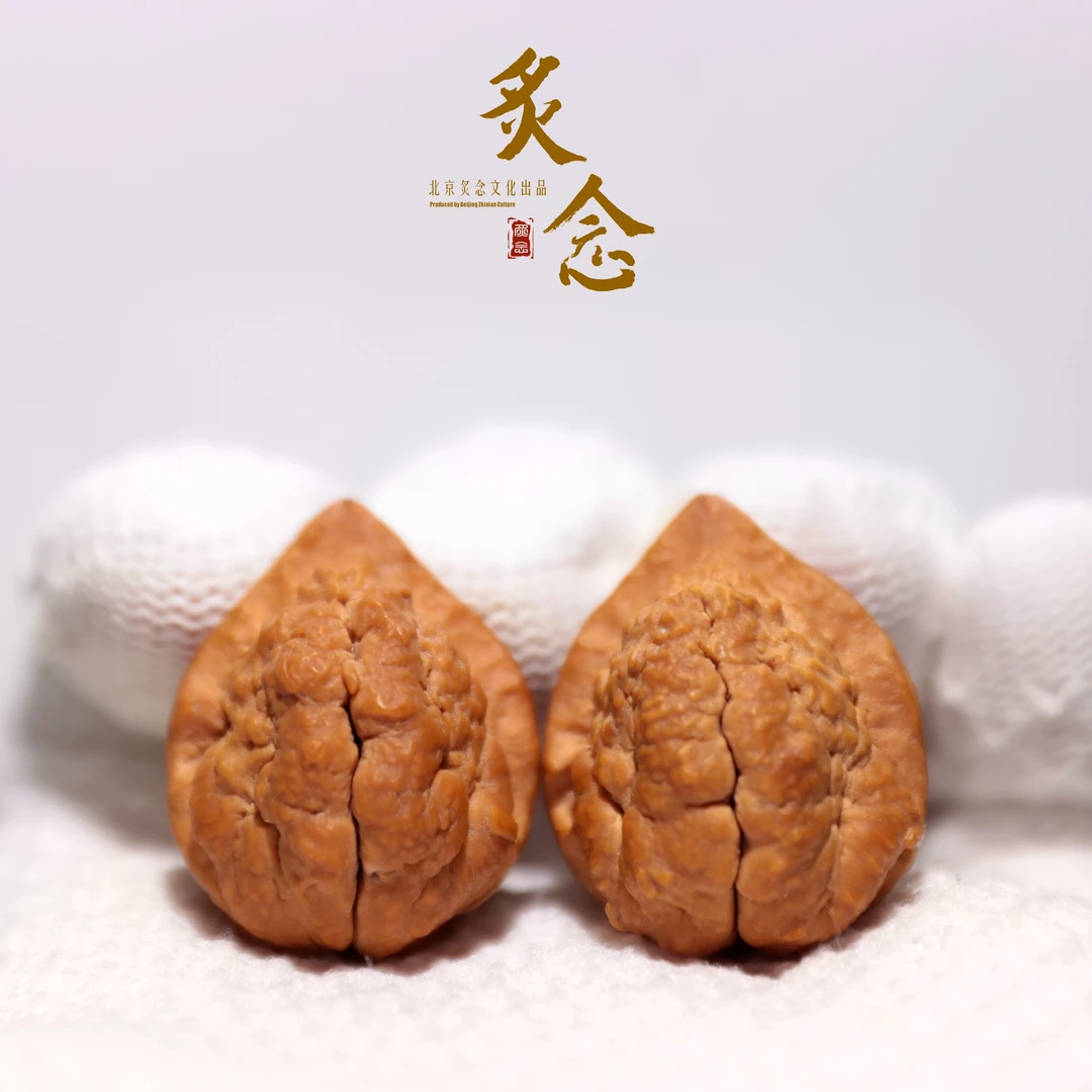老羊角 · 25-27-30 一物一图 文玩好物 蟾型好