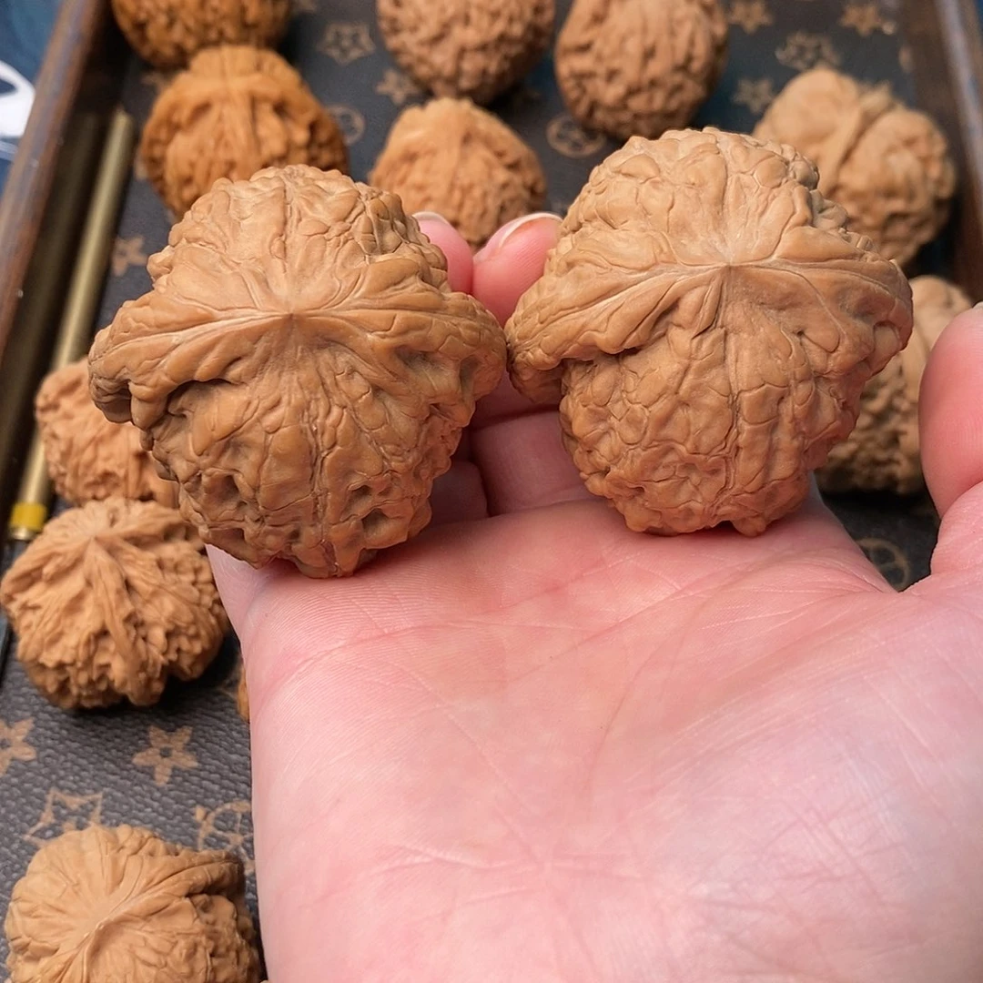 橄榄核手串/手链风**生龙鼎49quan sa