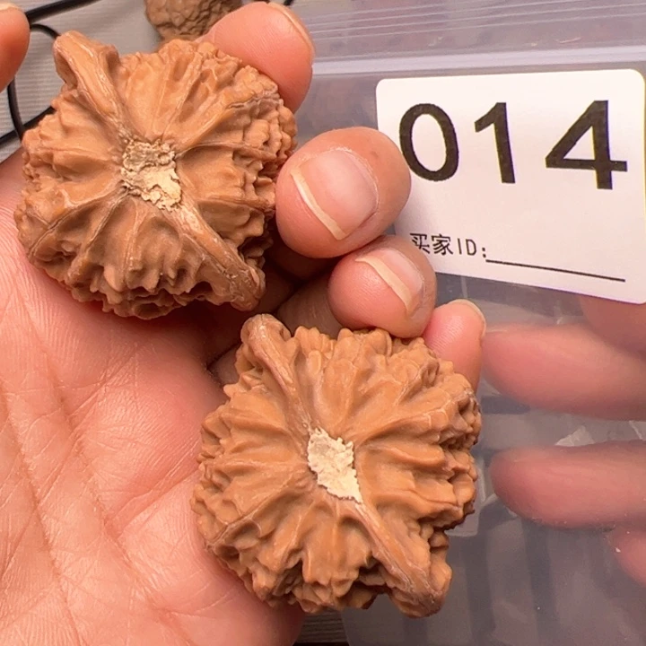 核桃全品宫灯42尺014号