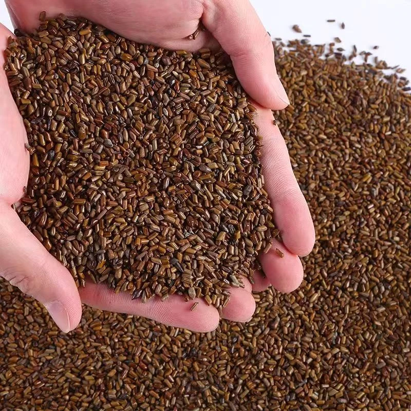 决明子炒制泡水喝可搭配赶黄草茶