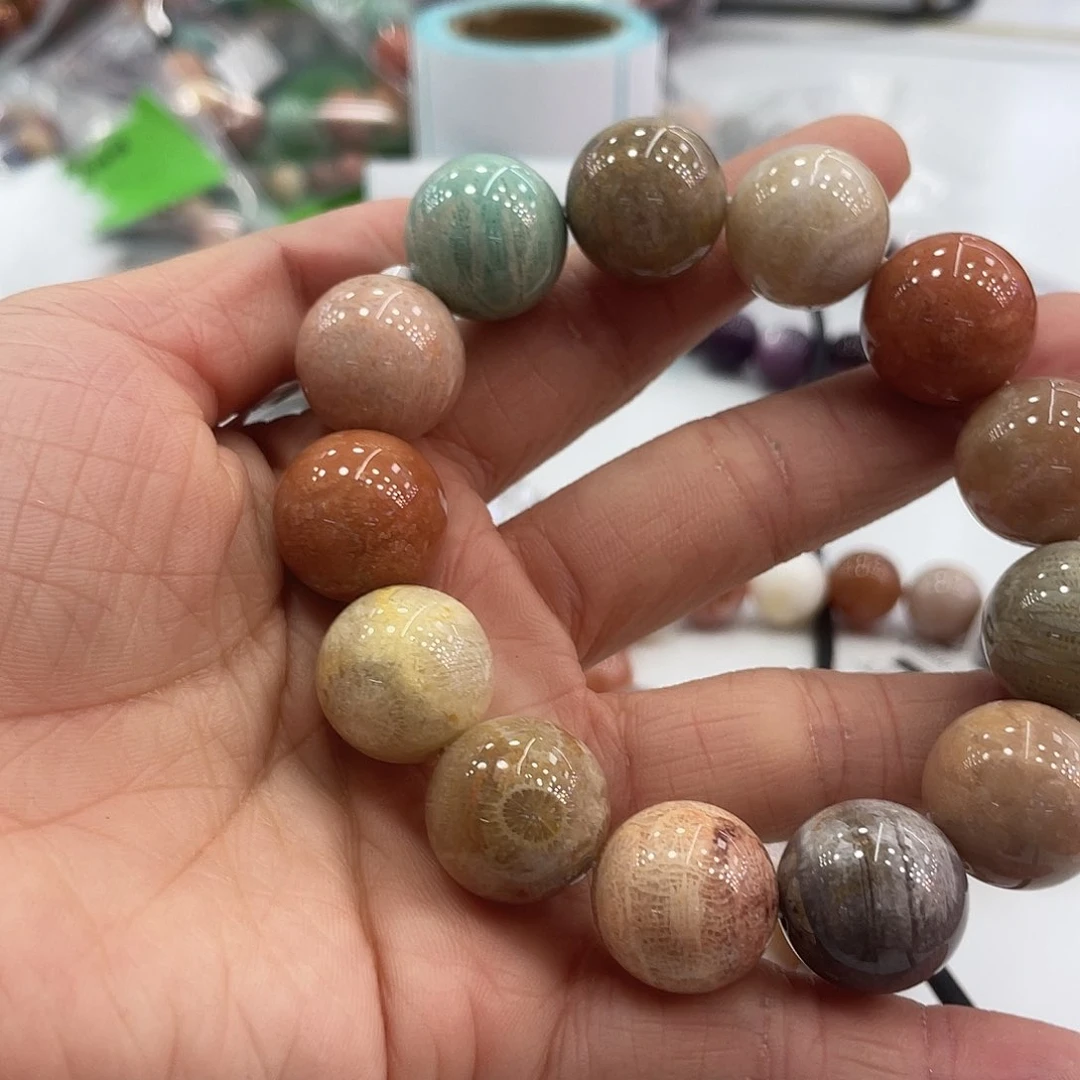 未镶嵌手串硅化珊瑚（珊瑚玉）?***?724