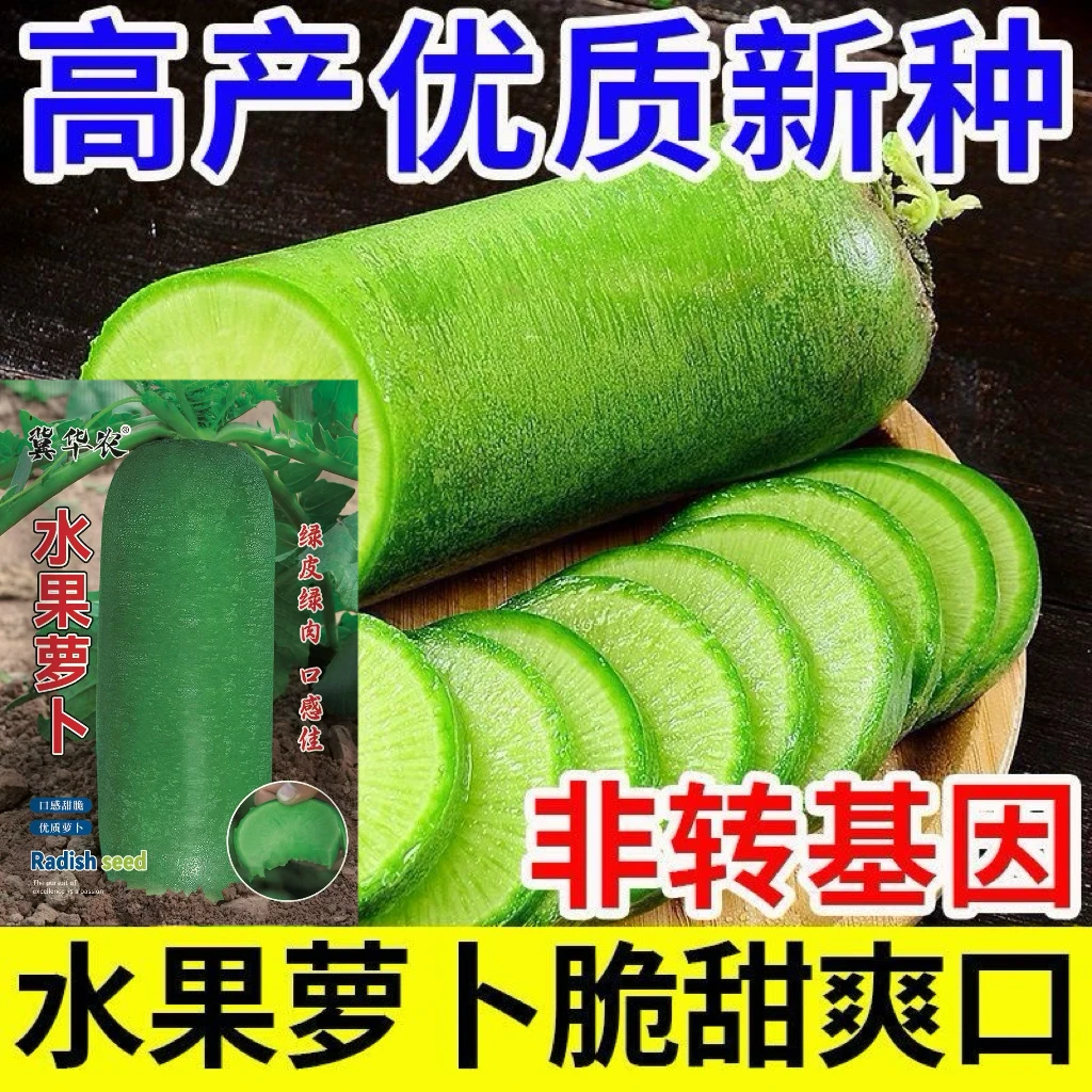 冰糖水果萝卜种子绿萝卜种籽农家蔬菜种四季播种阳台盆栽生吃脆甜