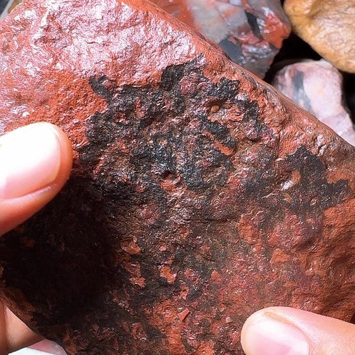 一***抱寿山石寿山石的种类
