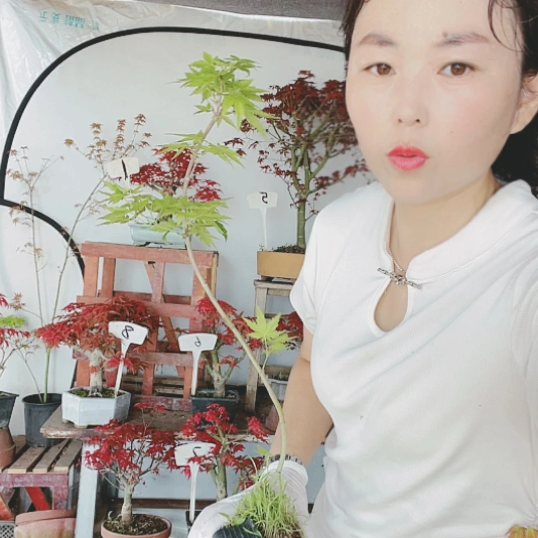 【闪购商品】完全开放i**萍