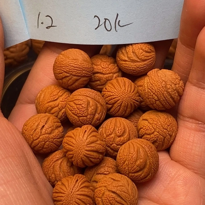 吊坠桃核秦岭龙纹12尺寸