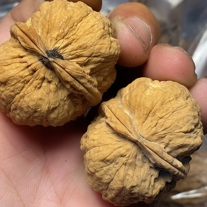 把件文玩核桃云南铁核桃B7