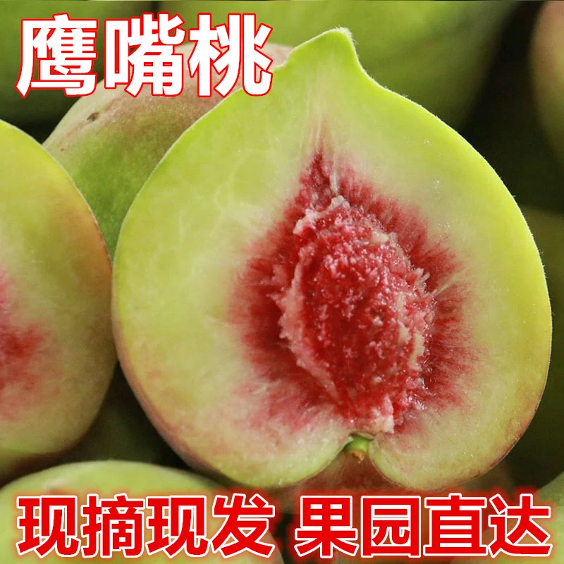 鹰嘴桃新鲜应季水果脆甜爽口农家水果脆桃毛桃当季水果