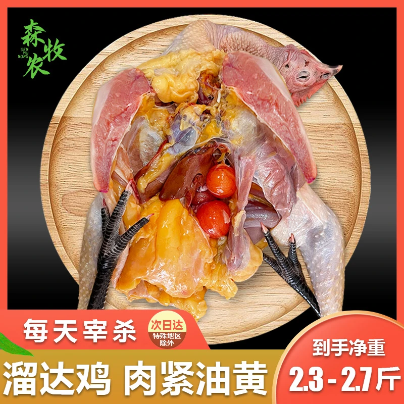 森牧农土鸡3年以上老母鸡月子鸡汤柴鸡肉农村散养走地鸡2.3~2.7斤