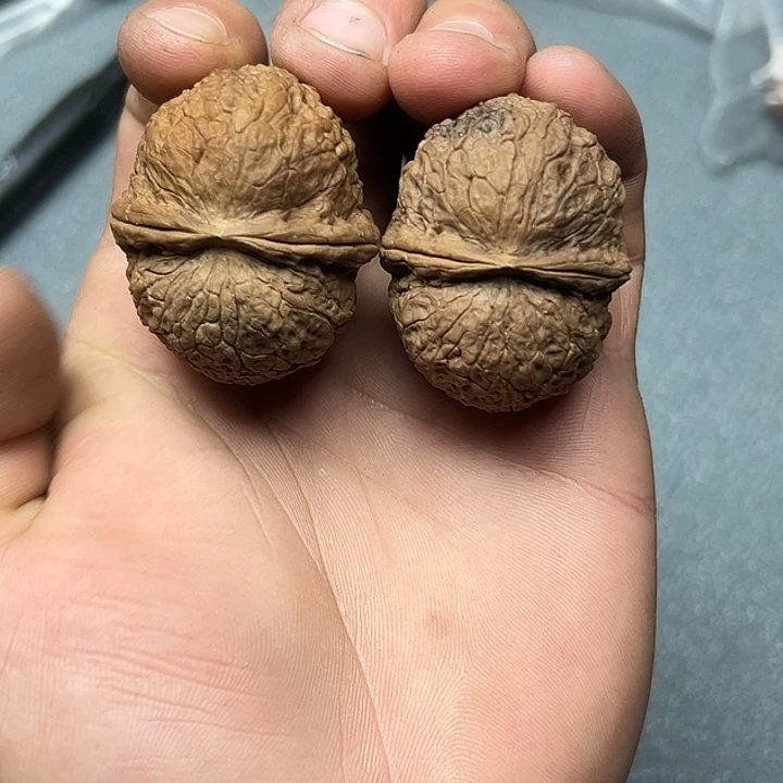 文玩核桃把件51号百叶蟾