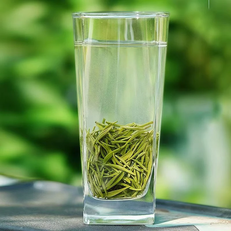 信阳毛尖新茶特级嫩芽春茶浓香型耐泡绿茶