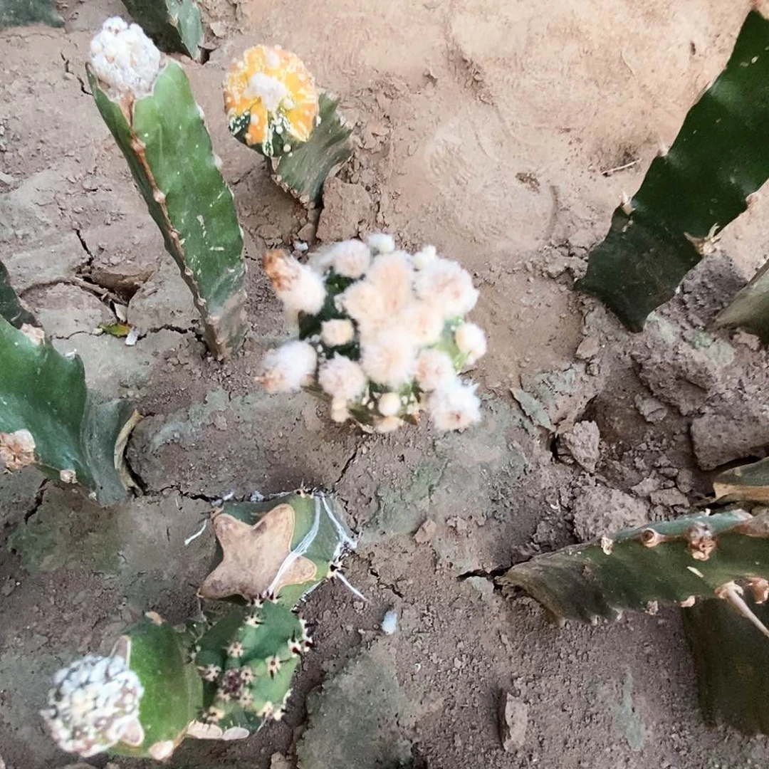 兜兜兜兜兜兜兜兜兜1