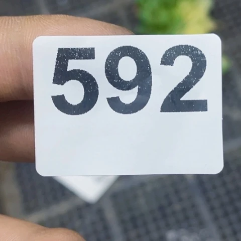 焦***儿592广林玉2个一物一图如图
