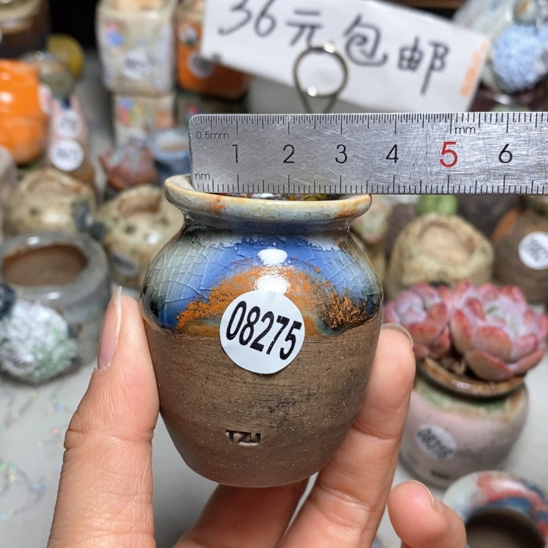 花盆拍5送一个小礼物