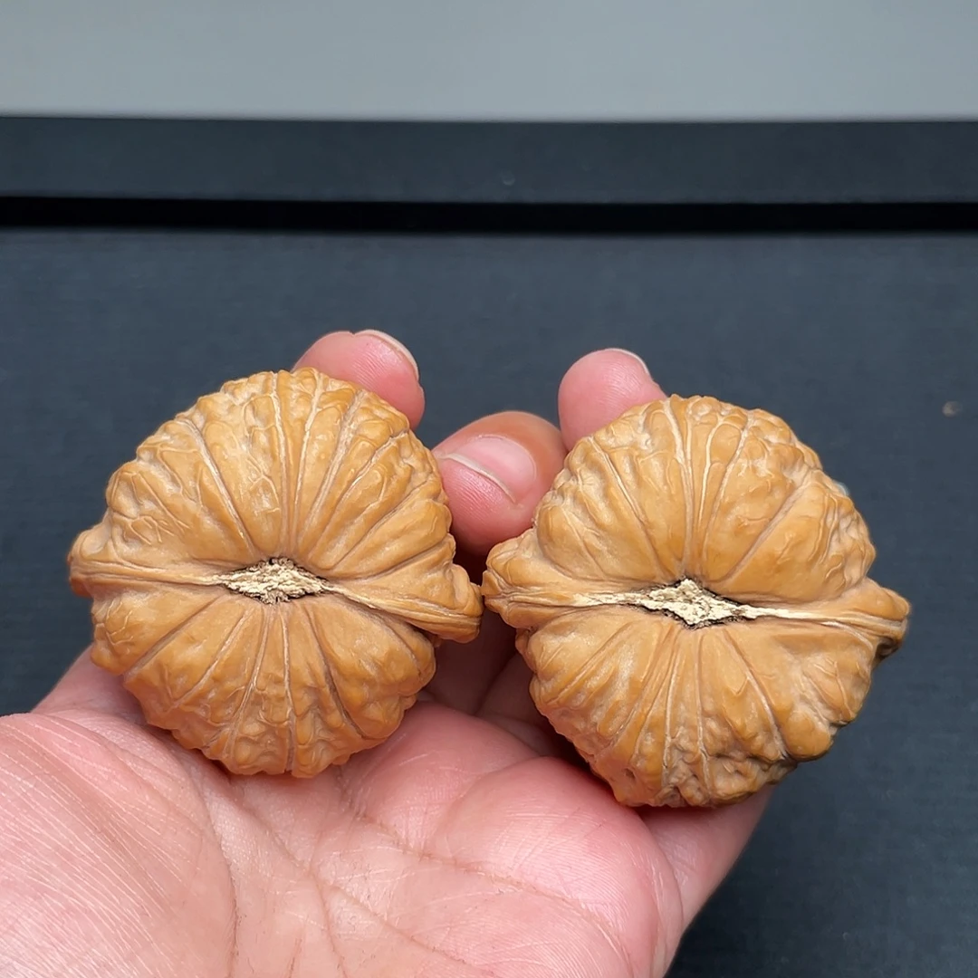 把件猴头核桃48×47全品头茬南瓜墩XM1038