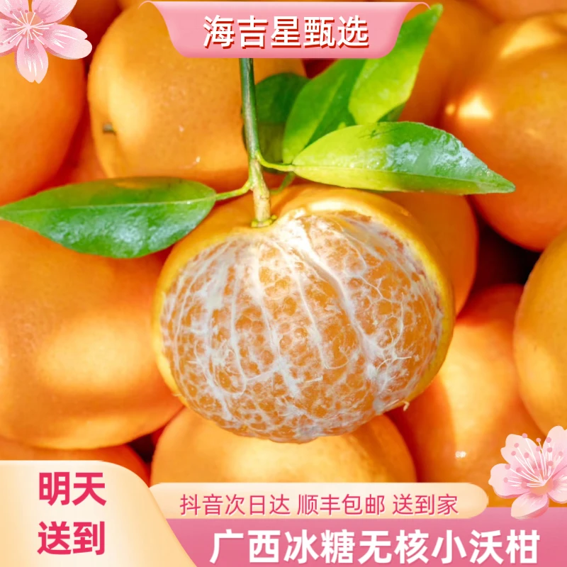 【福利破价】广西武鸣沃柑无核沃柑2斤纯甜新鲜四川省