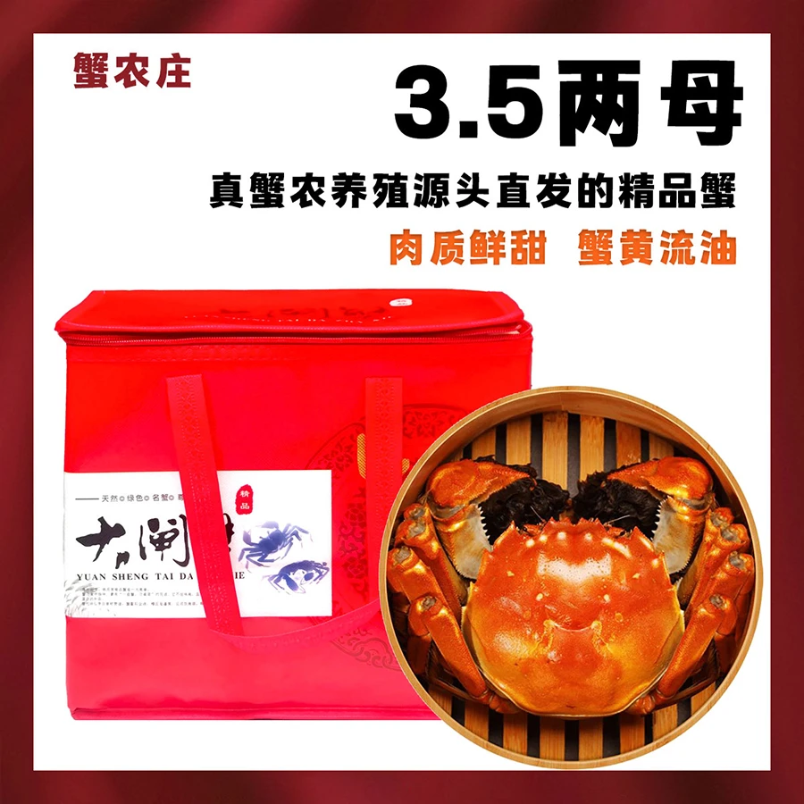 【活蟹】3.5两全母蟹6-10只装江苏兴化大闸蟹精品蟹挑膏蟹