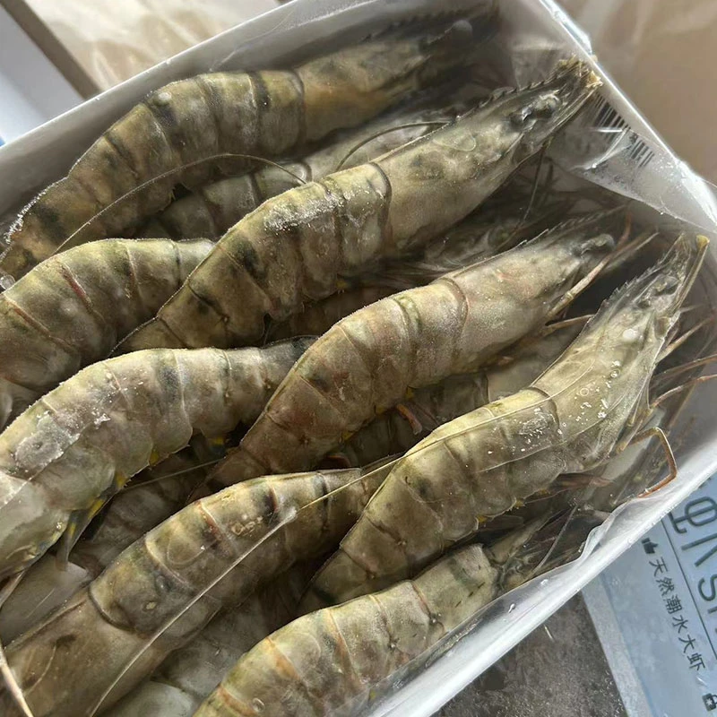 【船冻黑虎虾】新鲜黑虎虾/老虎虾 肉质紧实Q弹 多规格500g单包