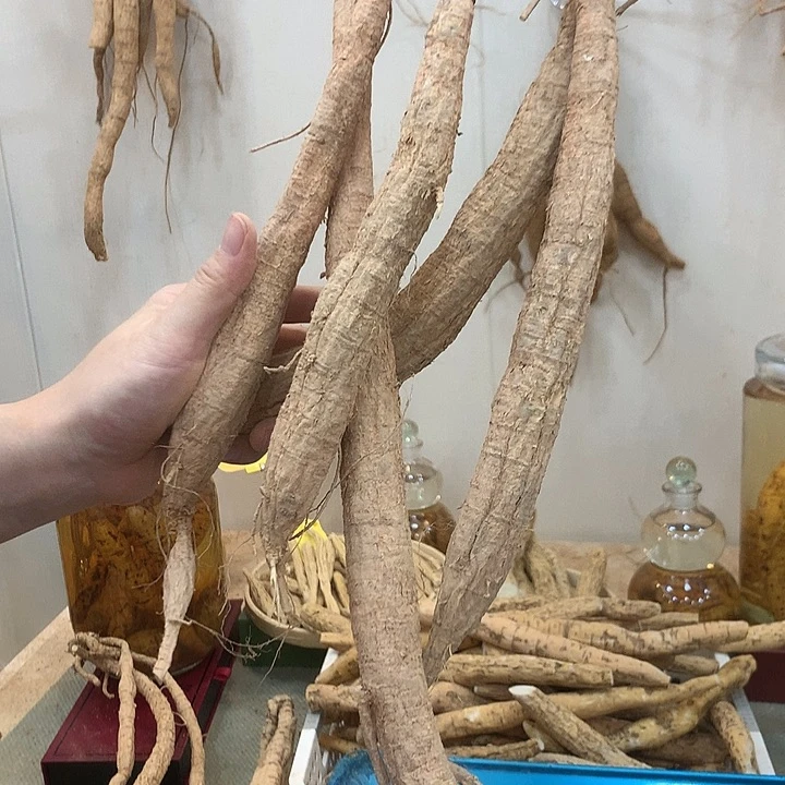 中国大陆啊*串牛5