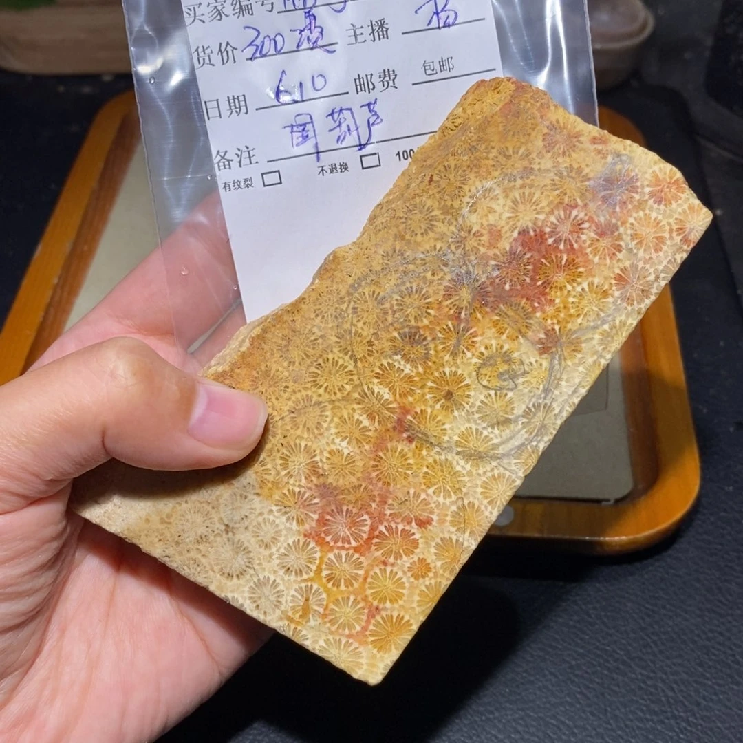 【闪购商品】硅化玉珊瑚玉未镶嵌铭*