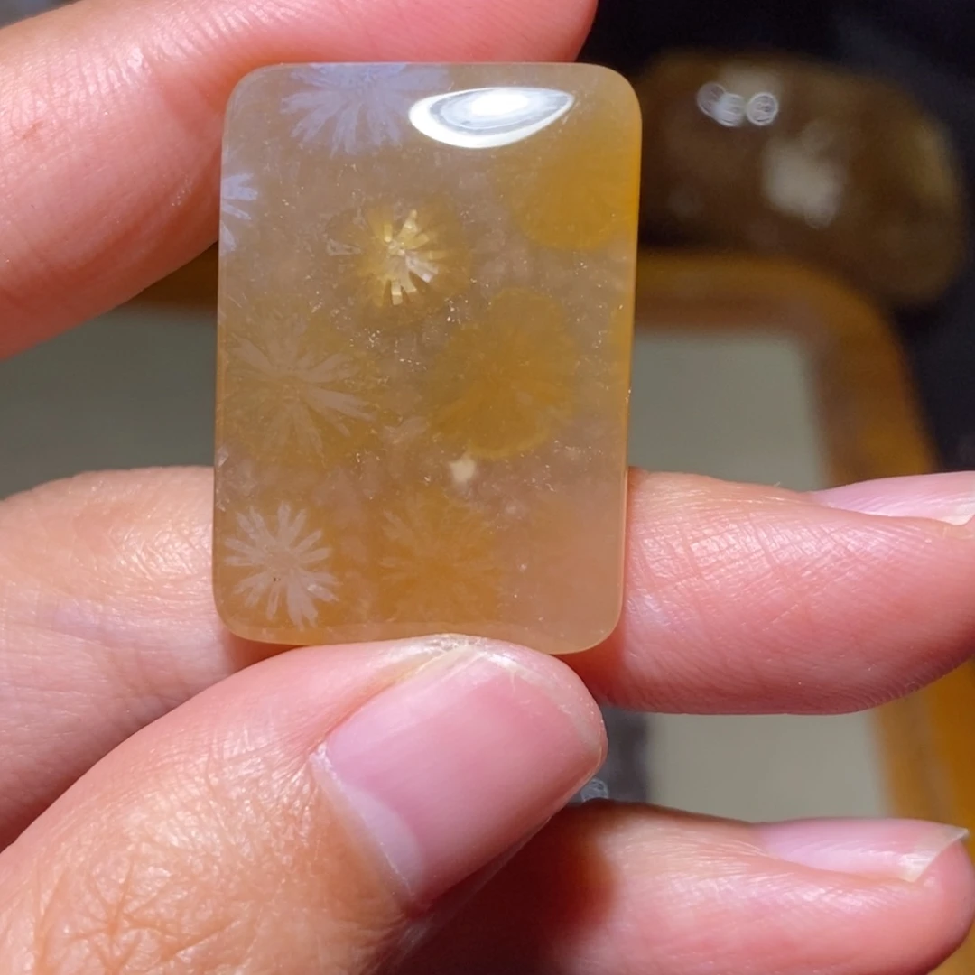 【闪购商品】硅化玉颈饰未镶嵌
