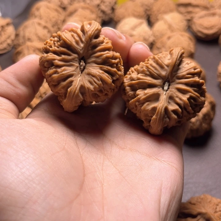 籽**生南疆石南疆石南疆石42